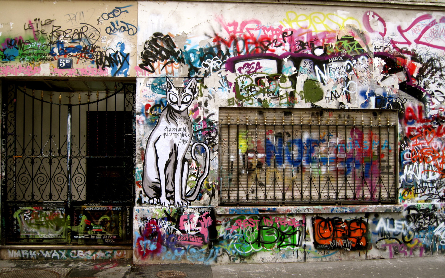 Нарисованный кот