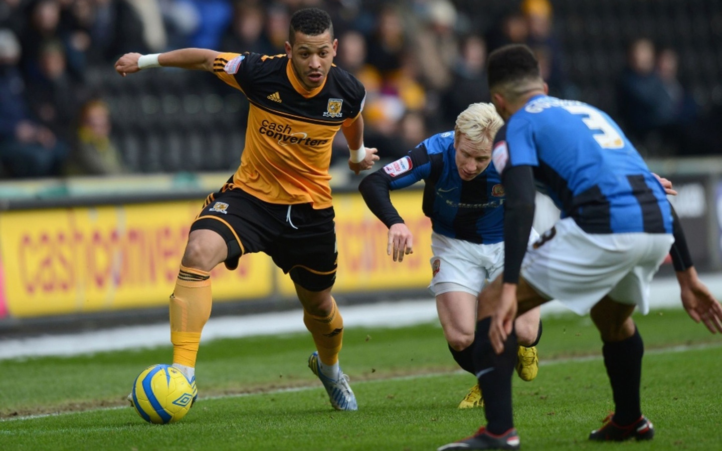 Популярный Футбольный клуб Халл Сити