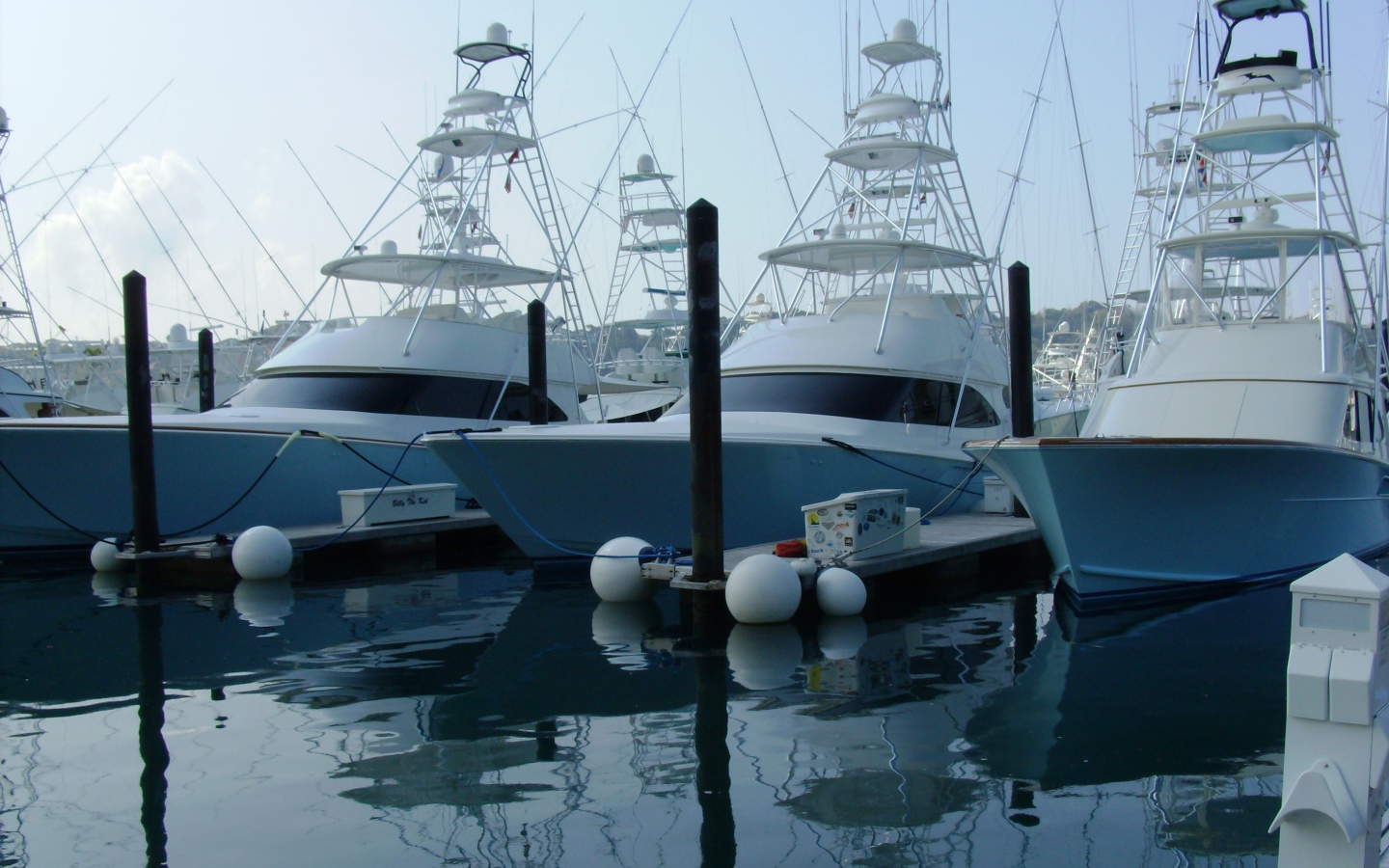 Порт Коста-Рика