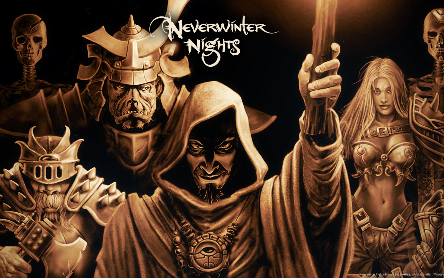 Постер игры Neverwinter