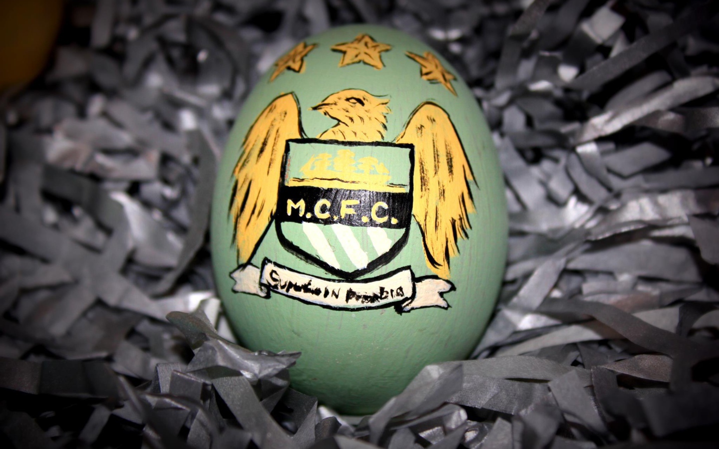 Известная футбольная команда Манчестер Сити