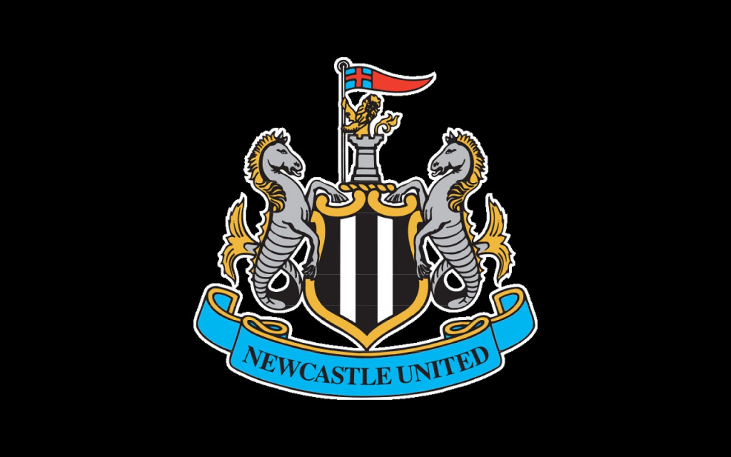 Известная команда Англии Ньюкасл Юнайтед