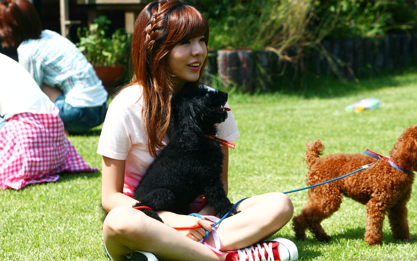 Девочка с собаками сидит на траве