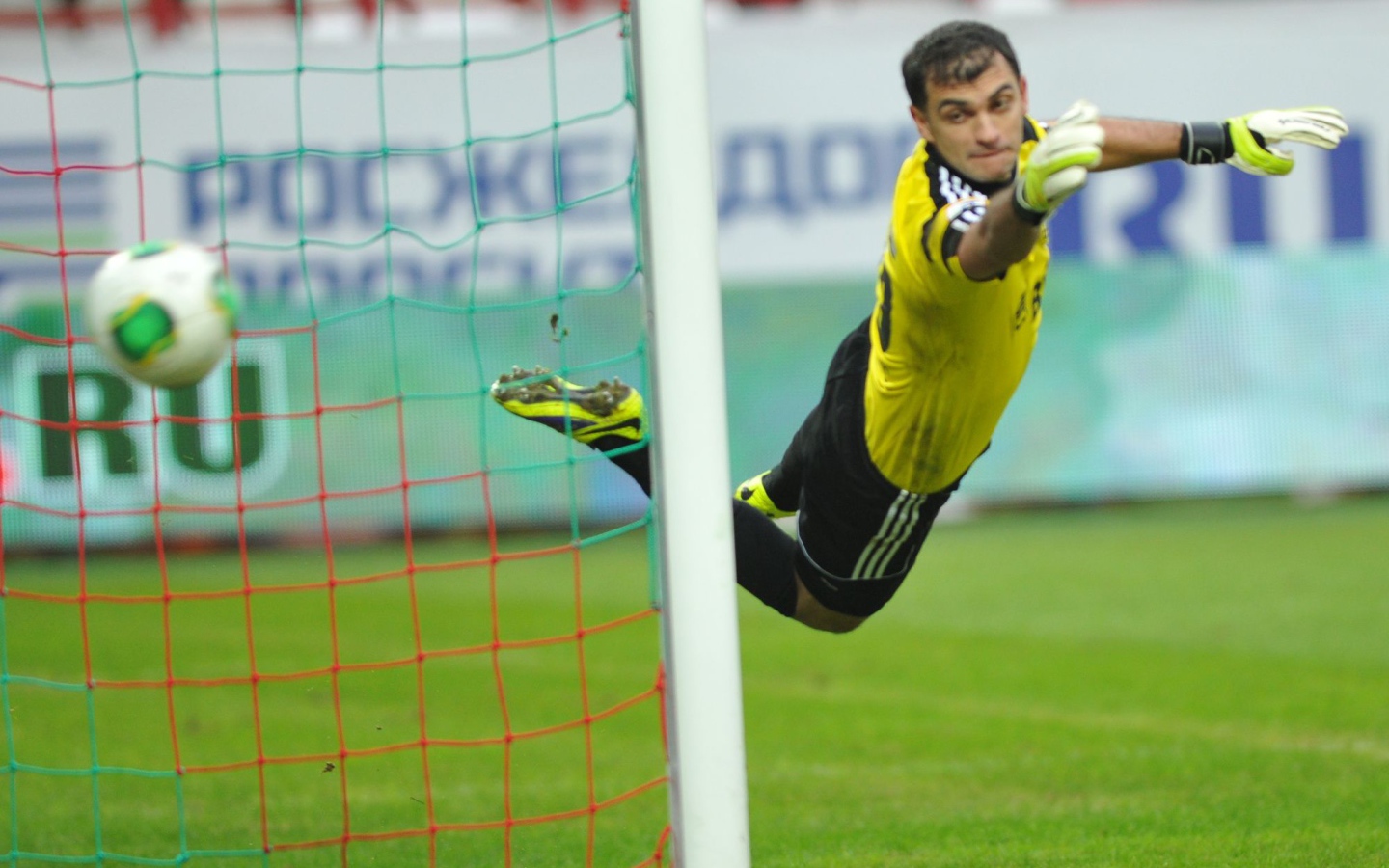 Владимир Габулов на страже ворот Динамо