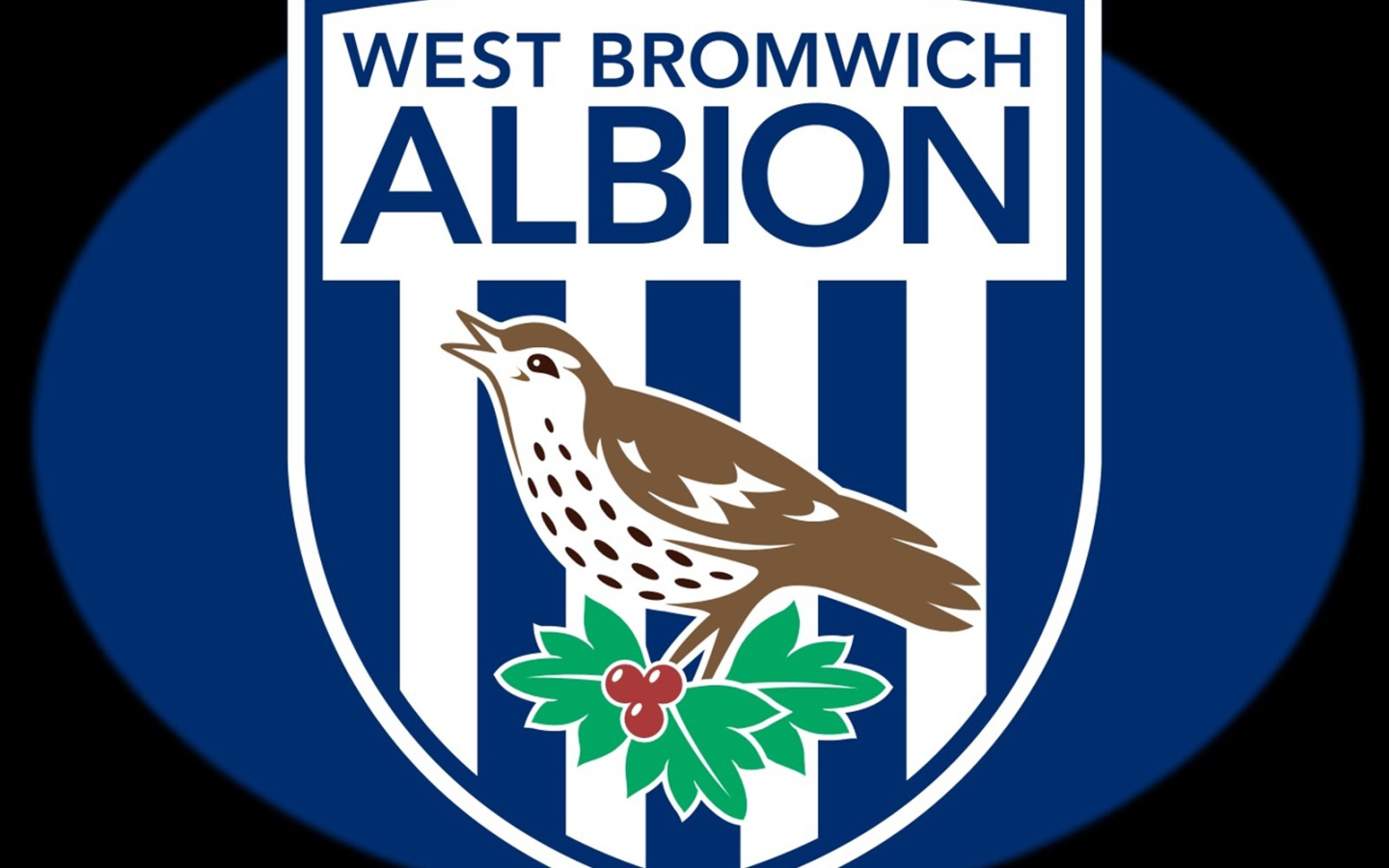 Вест Бромвич Альбион