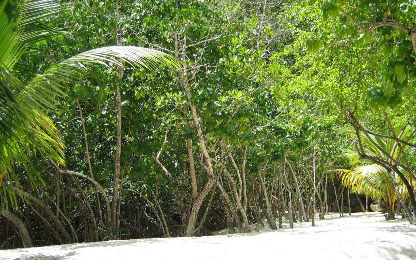 Захватывающие дух место в Гаити