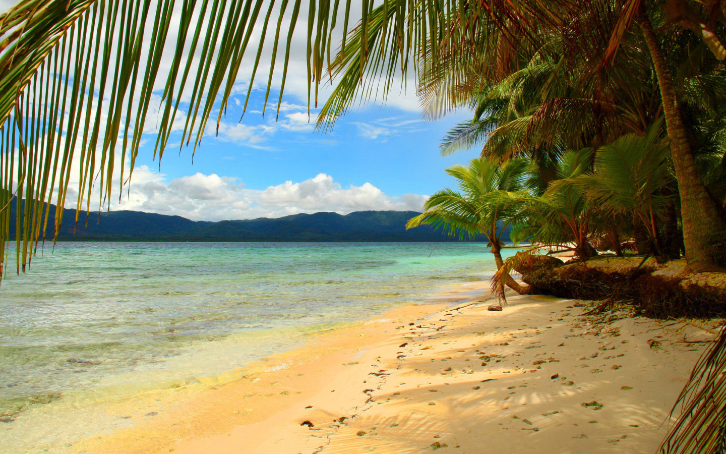 Эффектное Панама