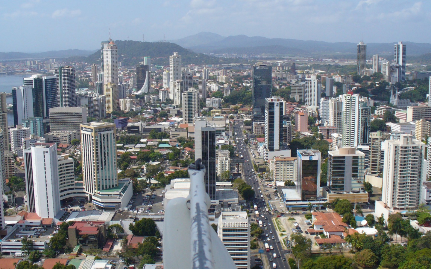 Элегантное Панама