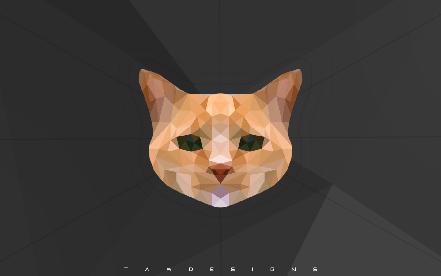 Морда кота, 3-Д графика