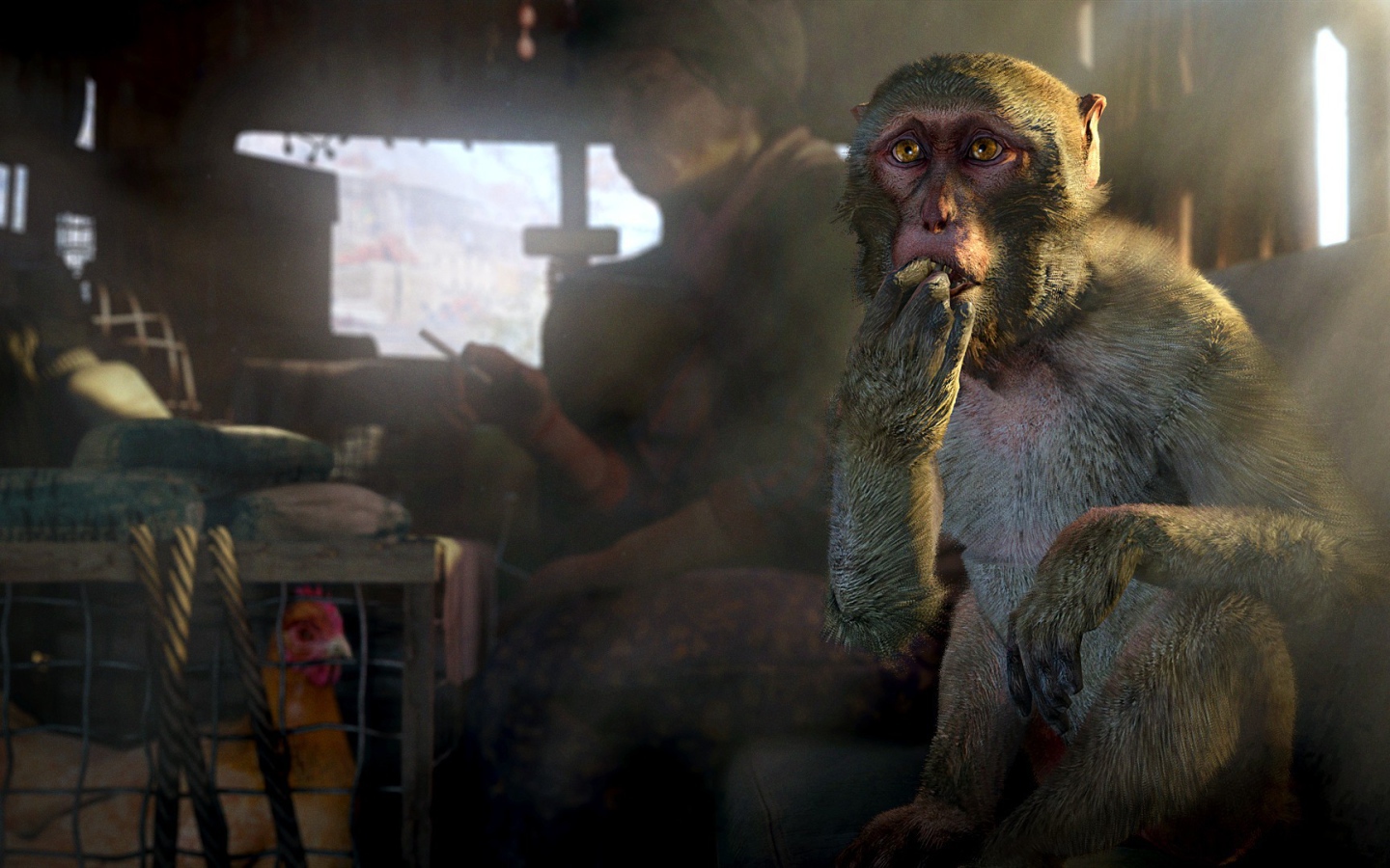 Обезьяна и курица в грузовике