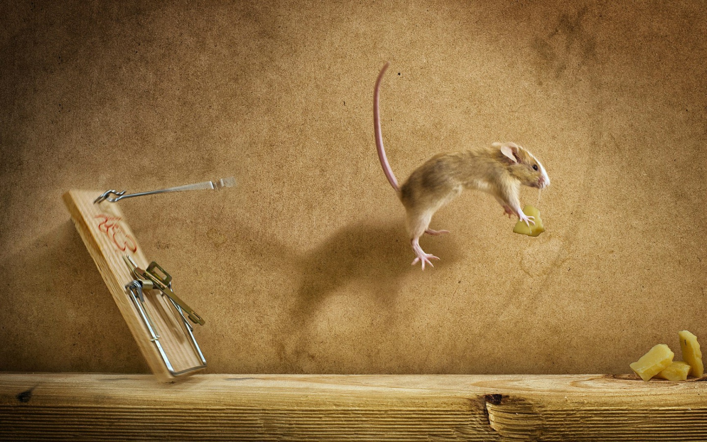 Мышка украла сыр из мышеловки
