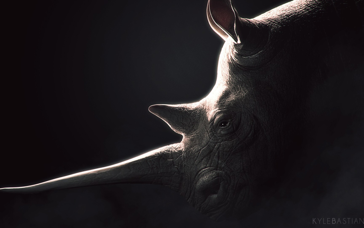 Носорог, черный фон