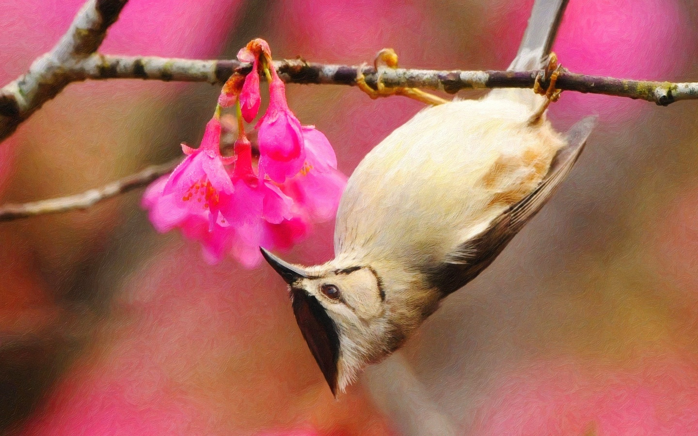 Птица висит на ветке вниз головой