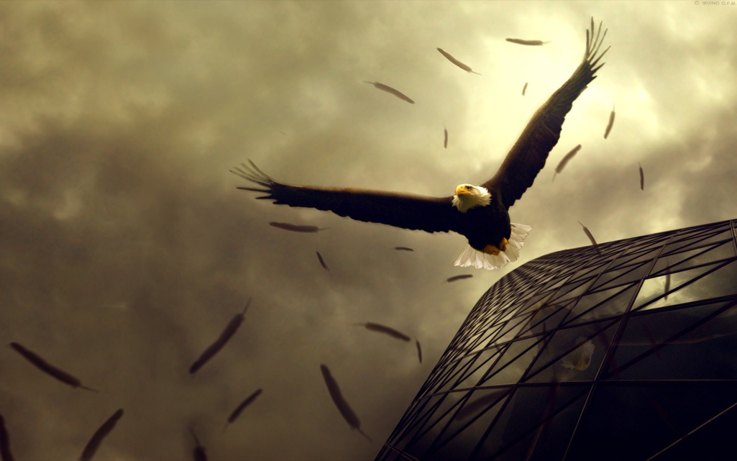 Орел теряет перья в полете