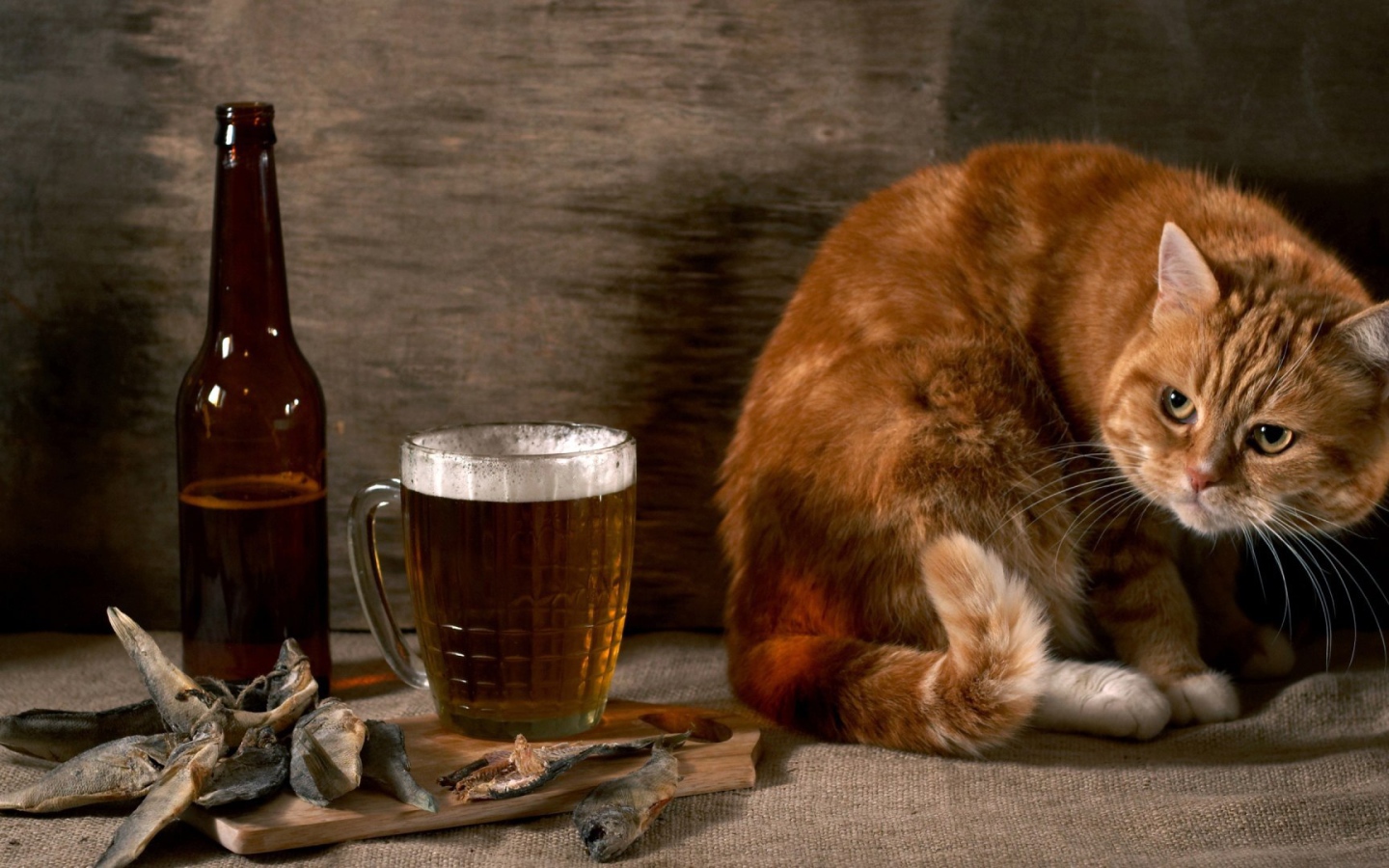 Рыжик тоже хочет пива