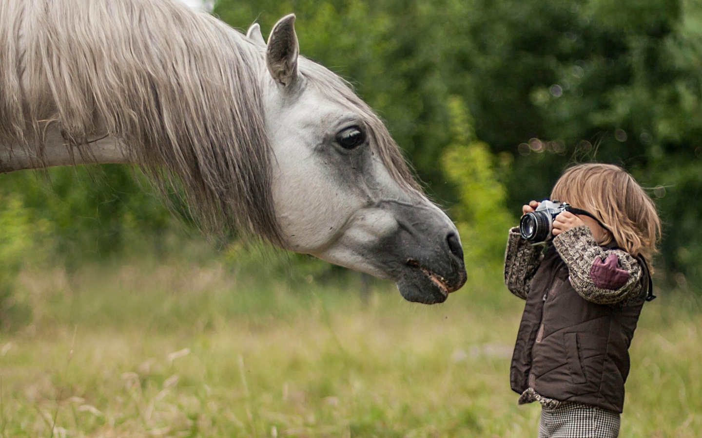 Мальчик фотографирует лошадь
