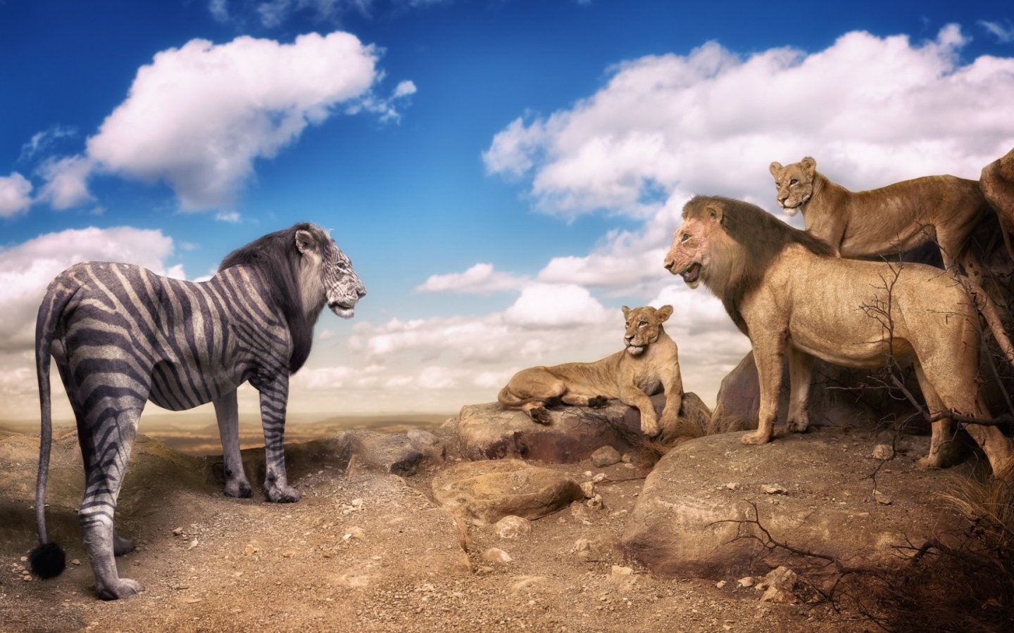 Необычный окрас льва