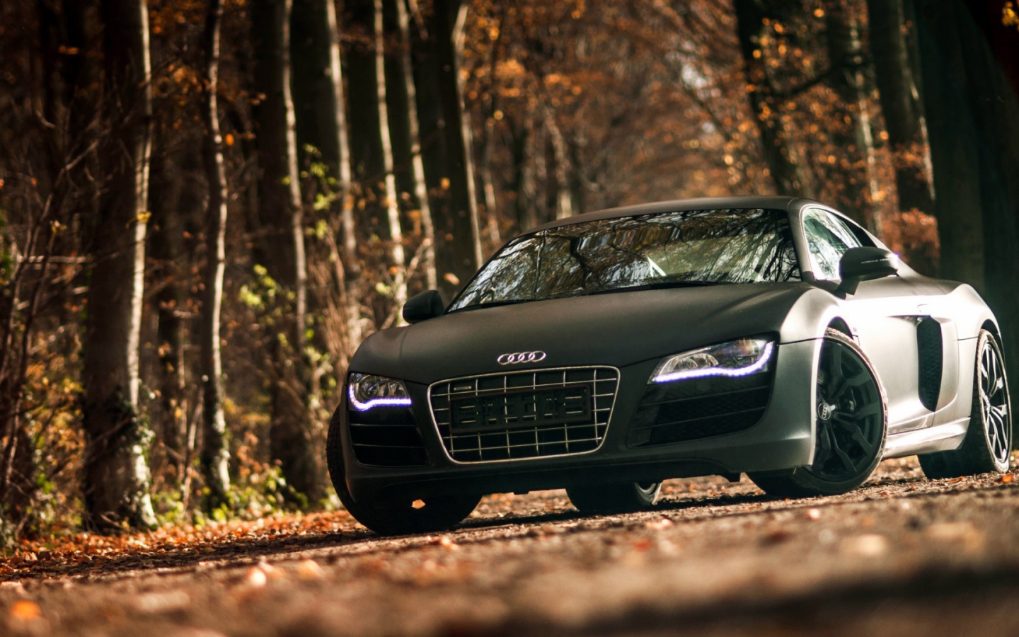 Двухдверный черный Ауди в лесу