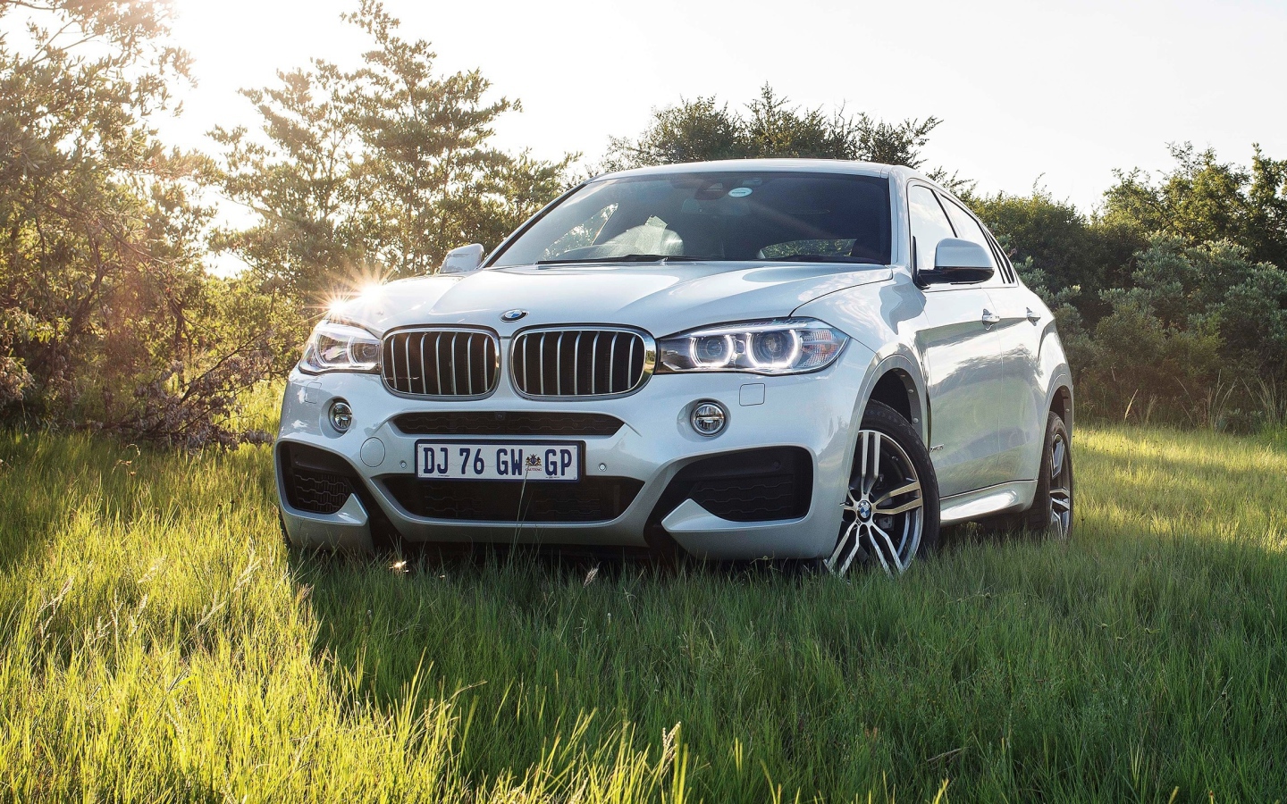 Белый BMW в поле за городом