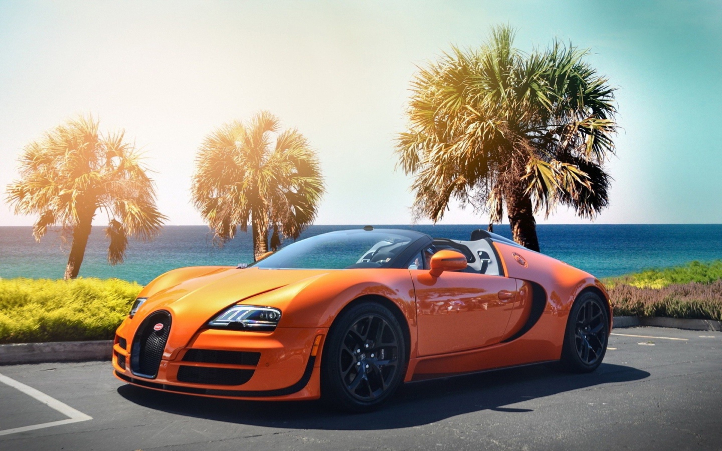 Оранжевый Bugatti Veyron на фоне пальм у моря