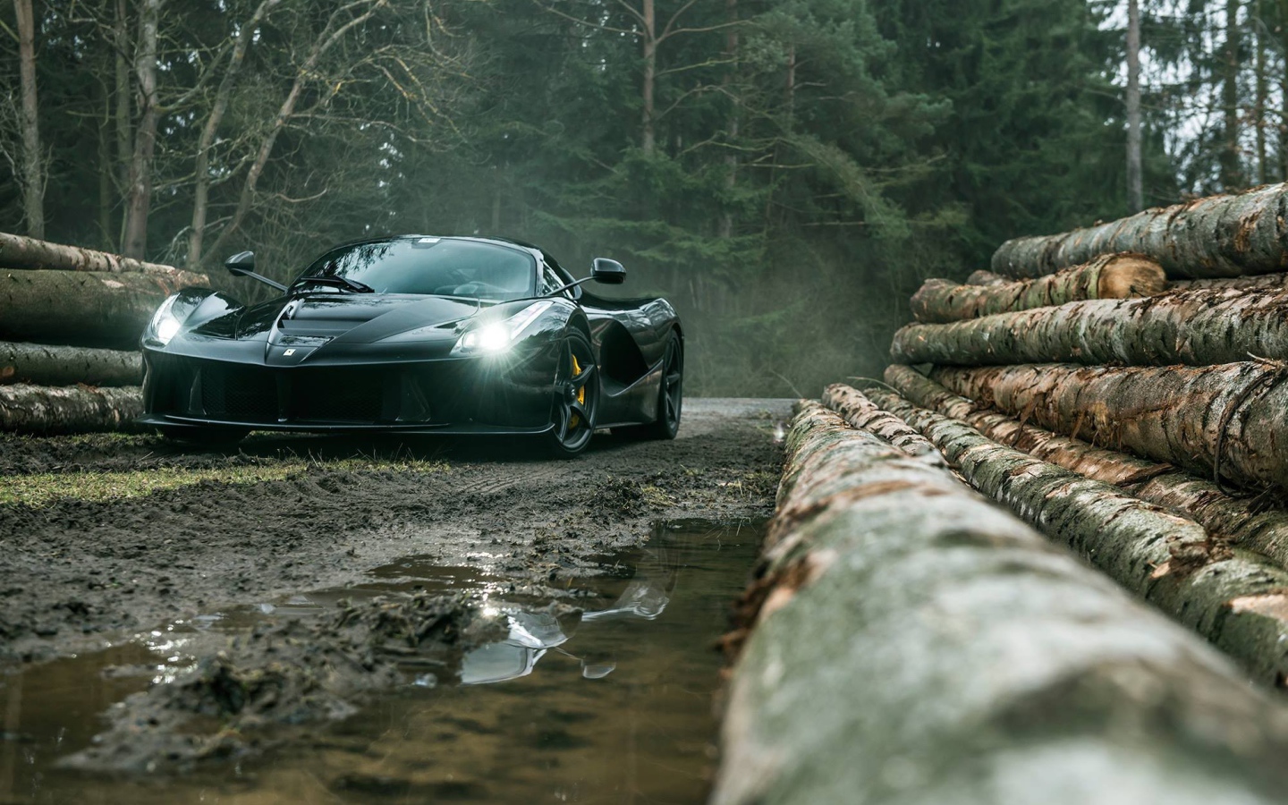 Черный Ferrari LaFerrari на лесоповале