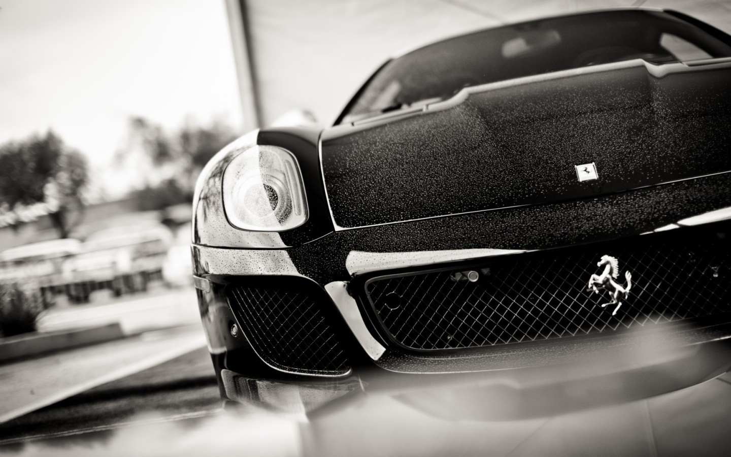 Черно белое фото авто Ferrari