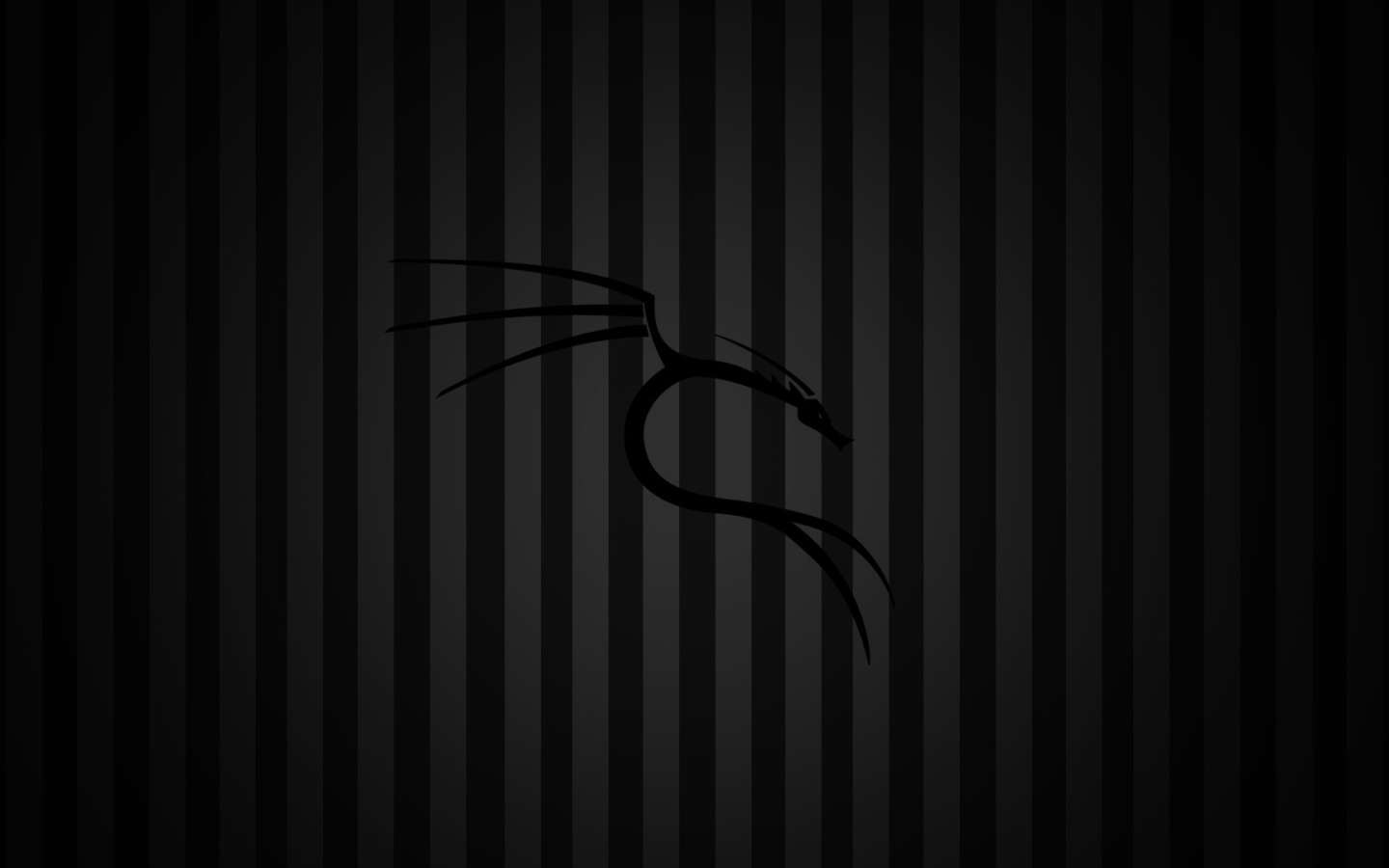 Black background Kali Linux