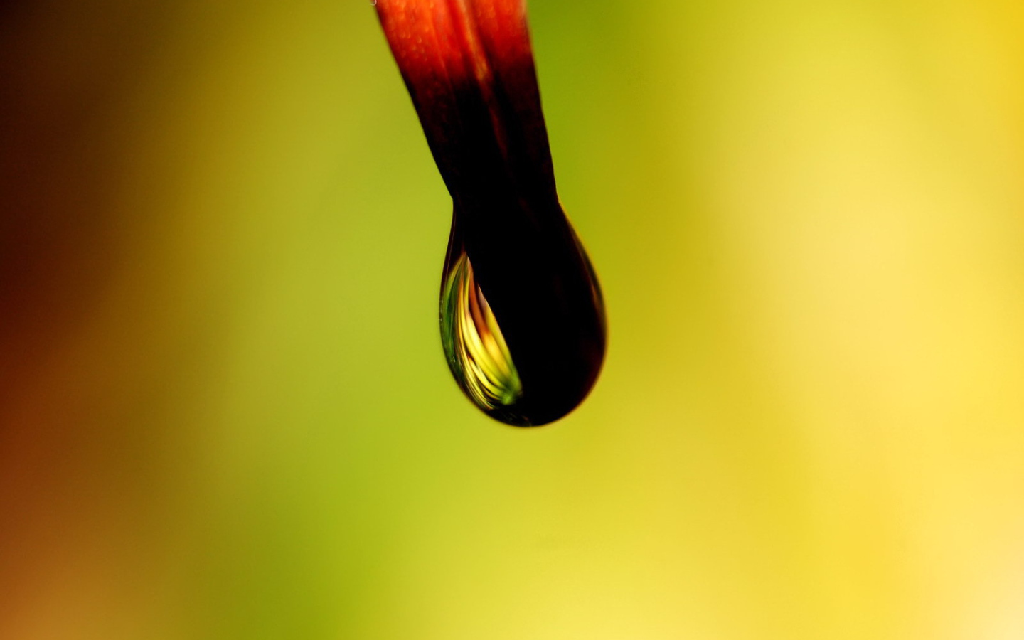 Черная капля