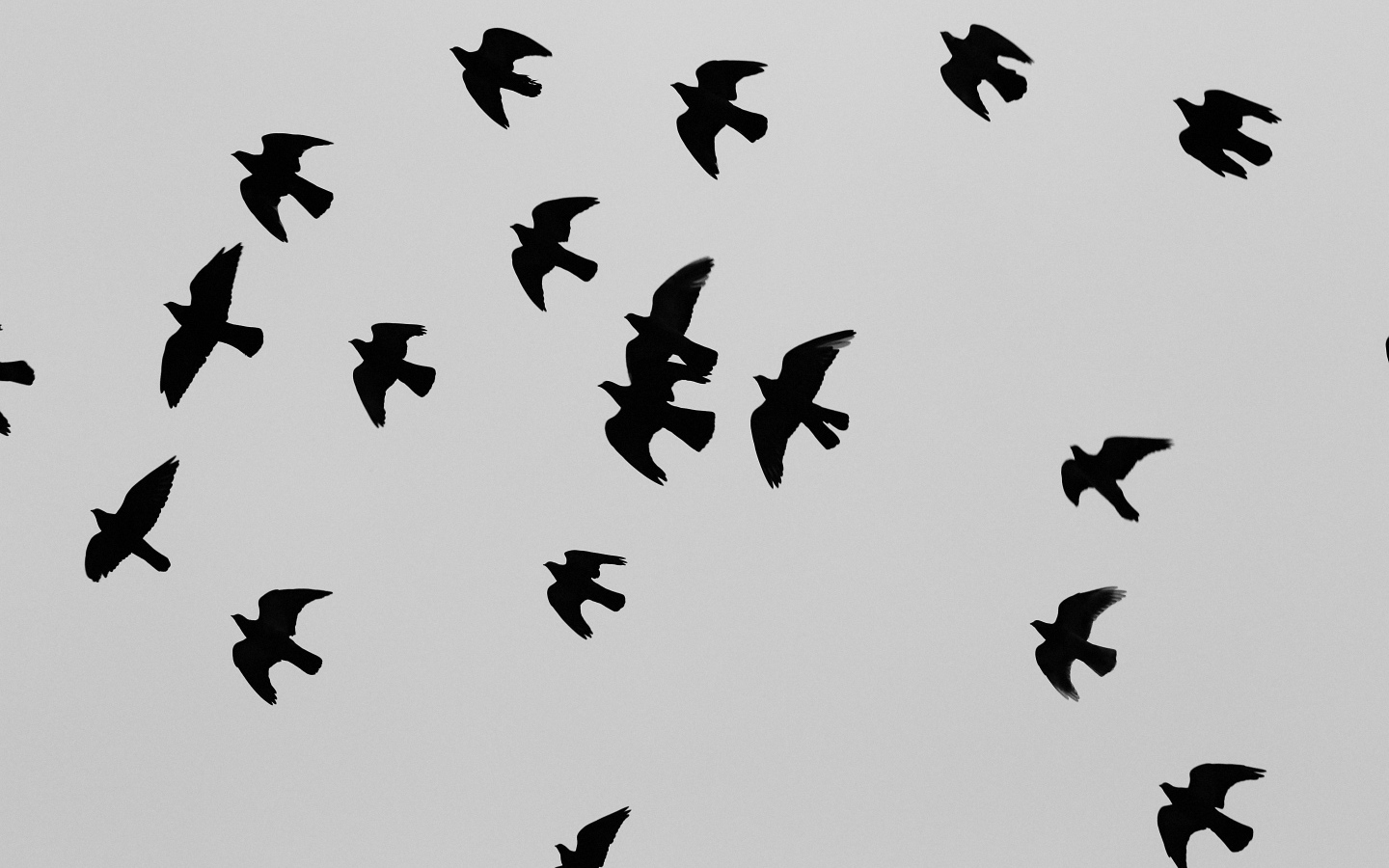 Силуэты черных птиц, серый фон