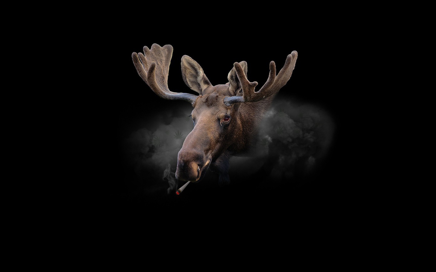Курящий олень, черный фон