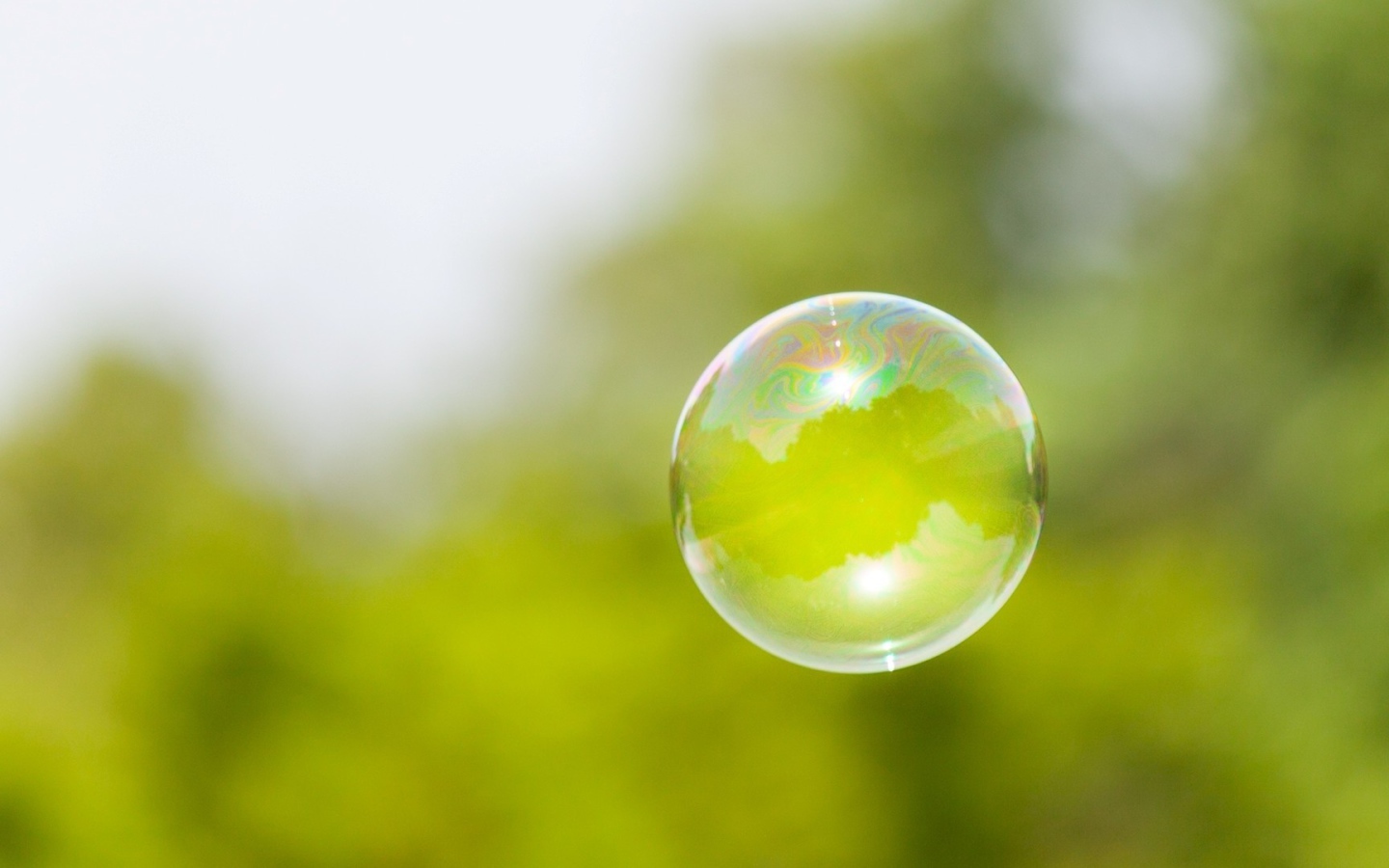 Мыльный пузырь на фоне зелени