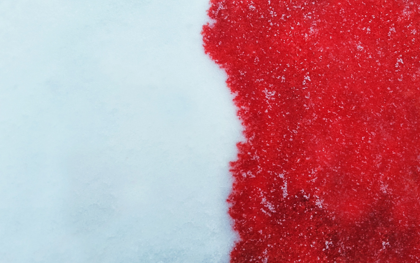 Кровь на белом снеге