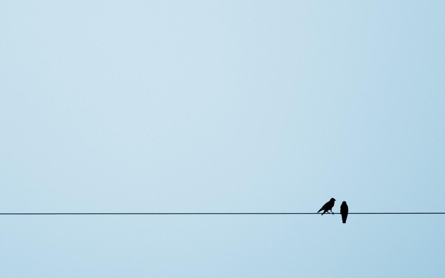 Две птицы на канате, голубой фон