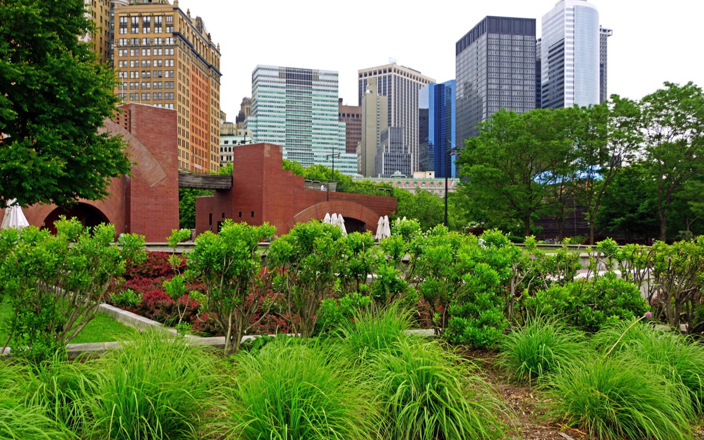 Зеленый парк в центре города