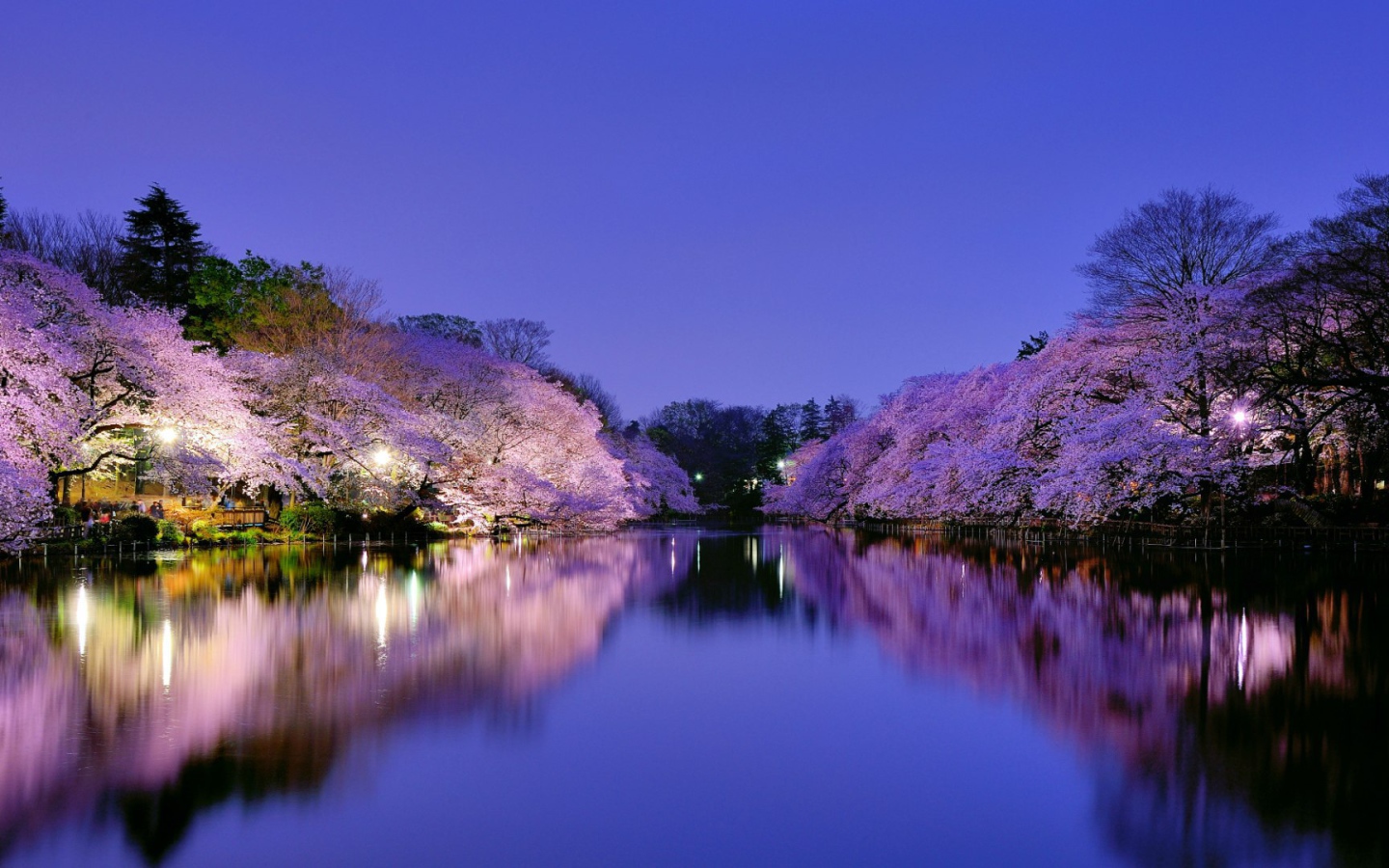 Парк в Осаке, Япония