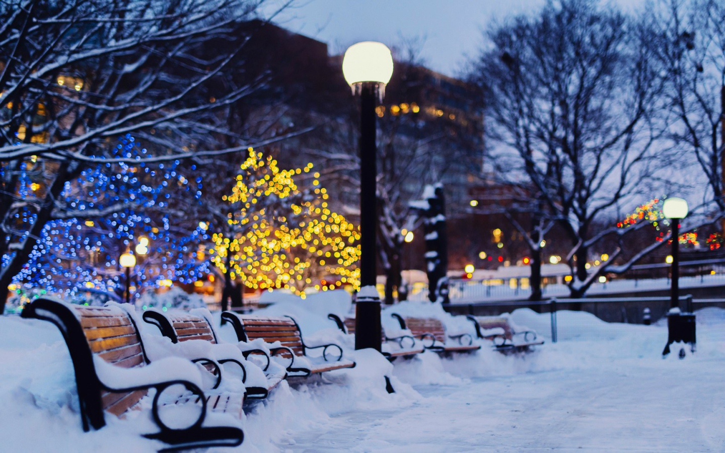 Зимний сквер в Оттаве, Канада