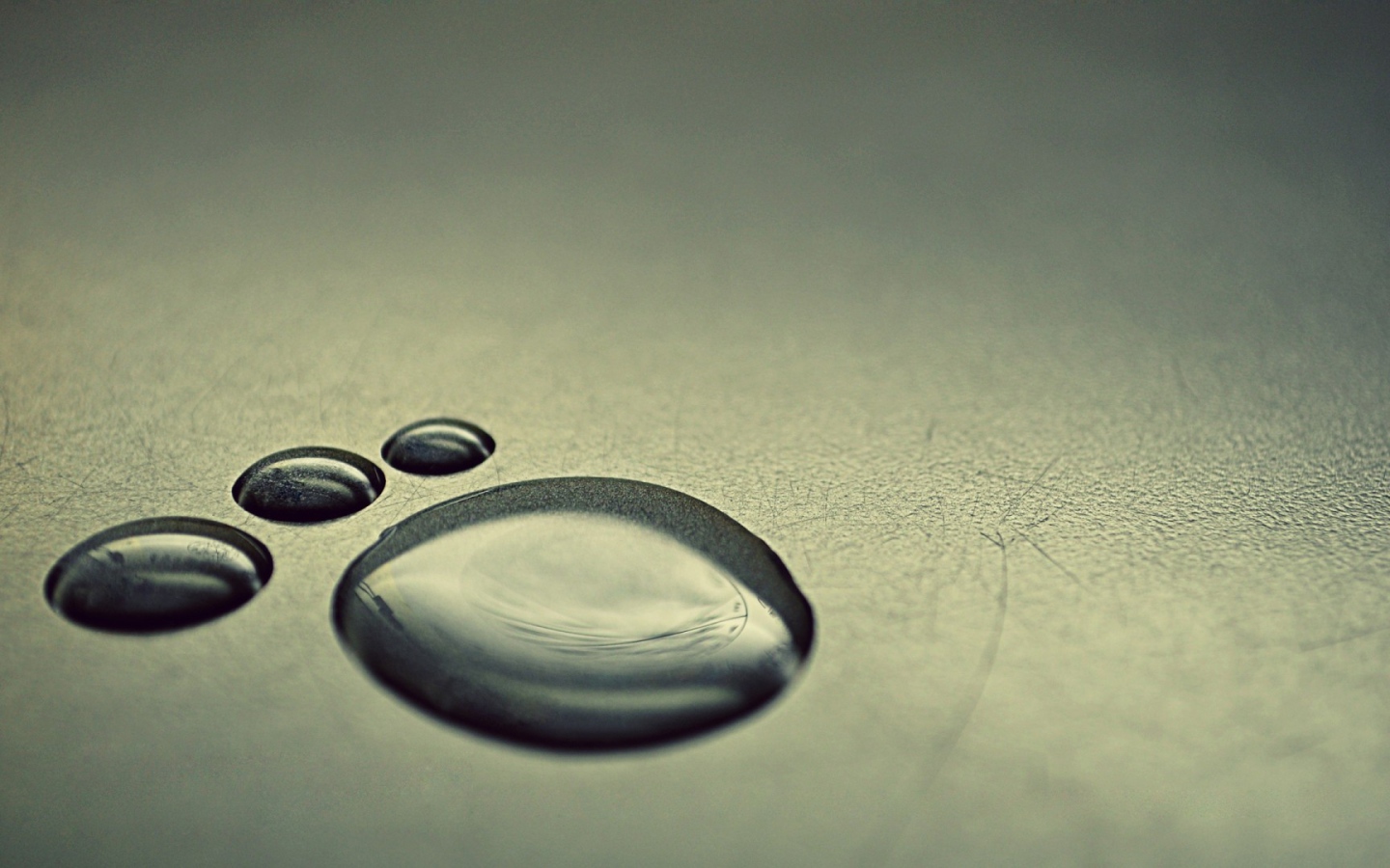 След из капель воды