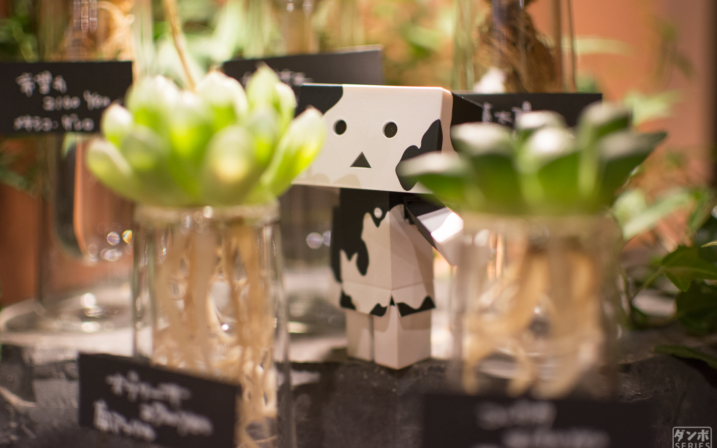 Дандо в маскировке