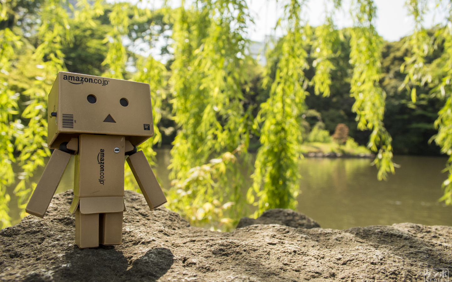 Дандо на земле в саду