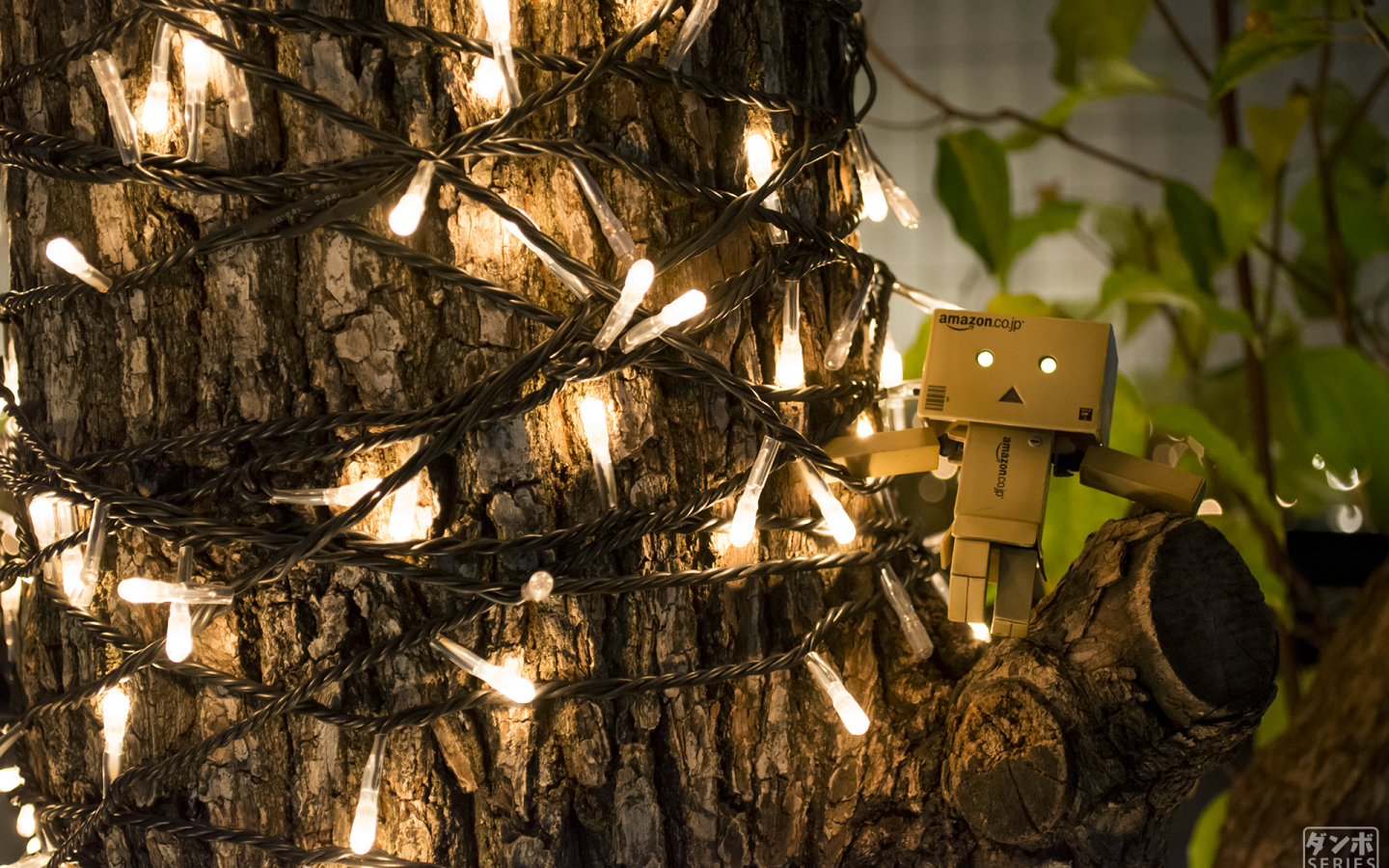 Дандо на дереве