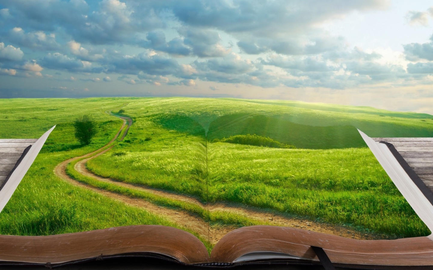 В книге целый мир