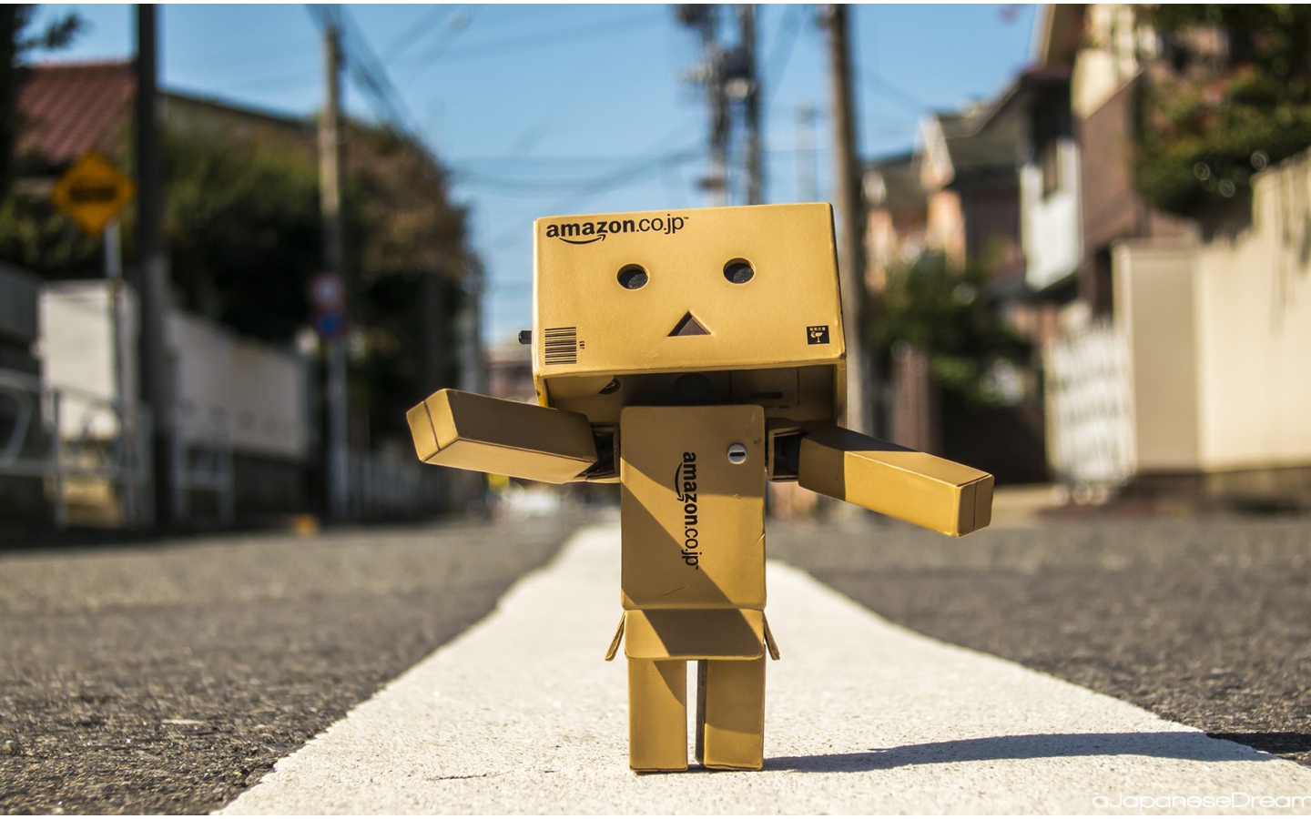 Японский Дандо стоит на дороге