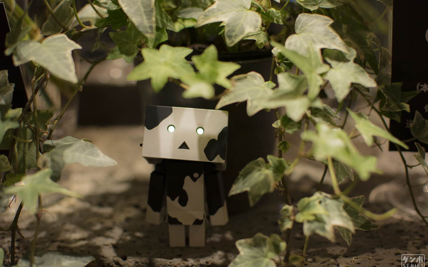 Японский Дандо под листьями