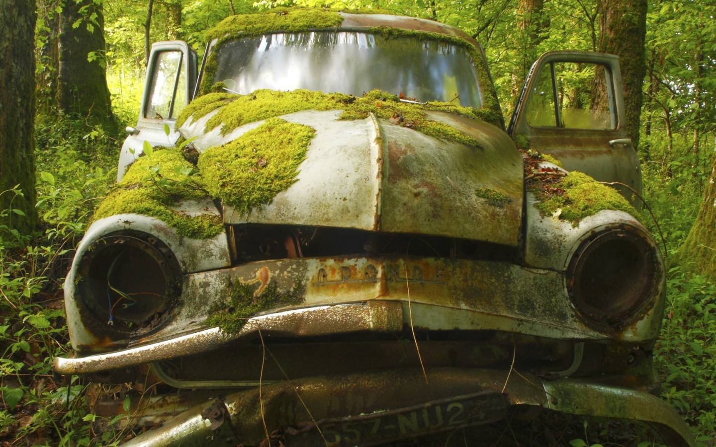 Покрытый мхом корпус автомобиля