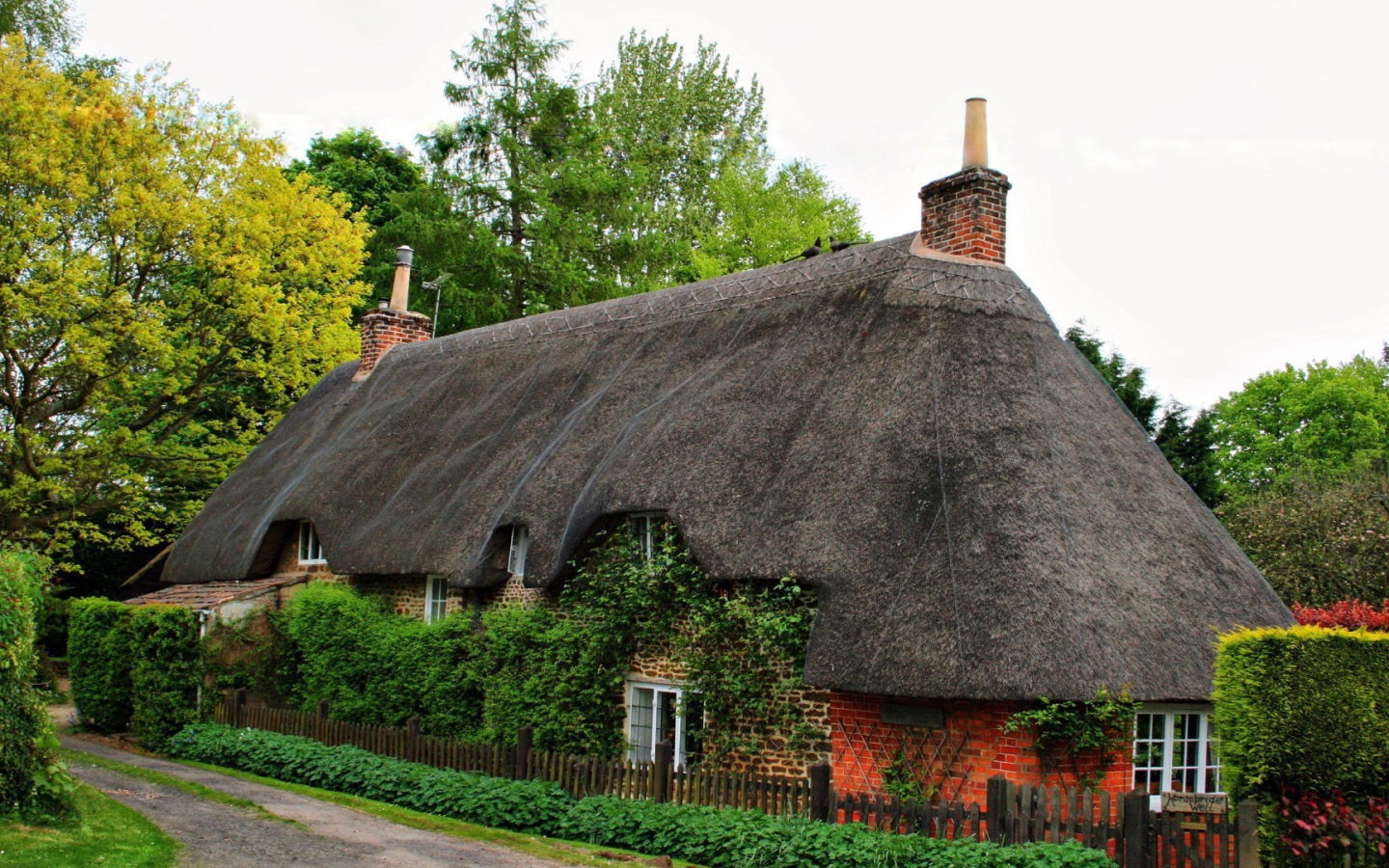 Старый дом, увитый плющом