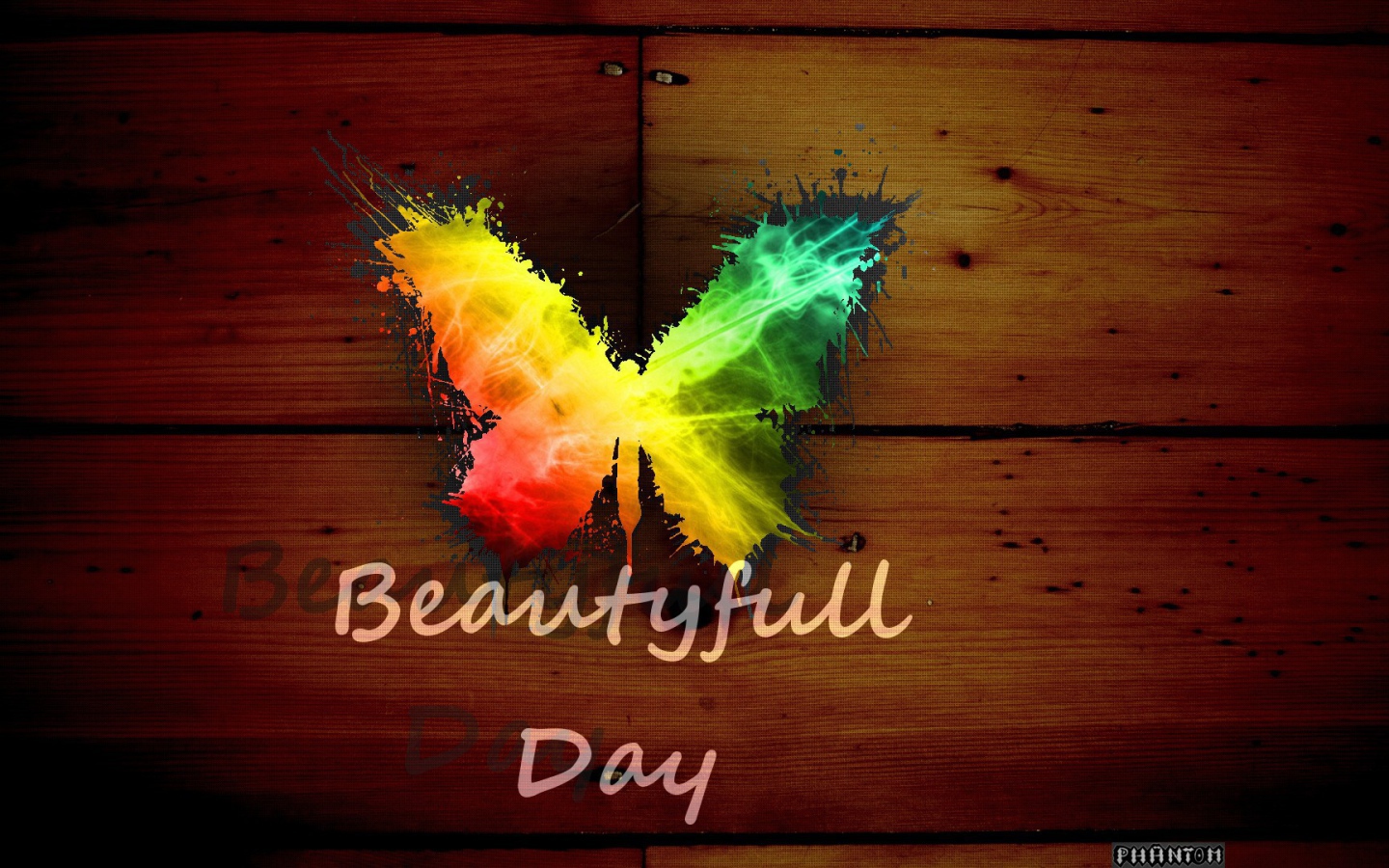 Радужная бабочка, прекрасный день