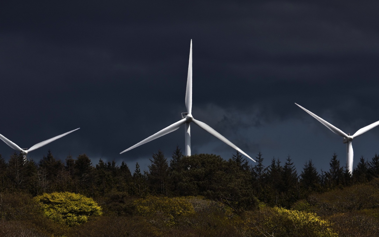 Лопасти ветряной электростанции
