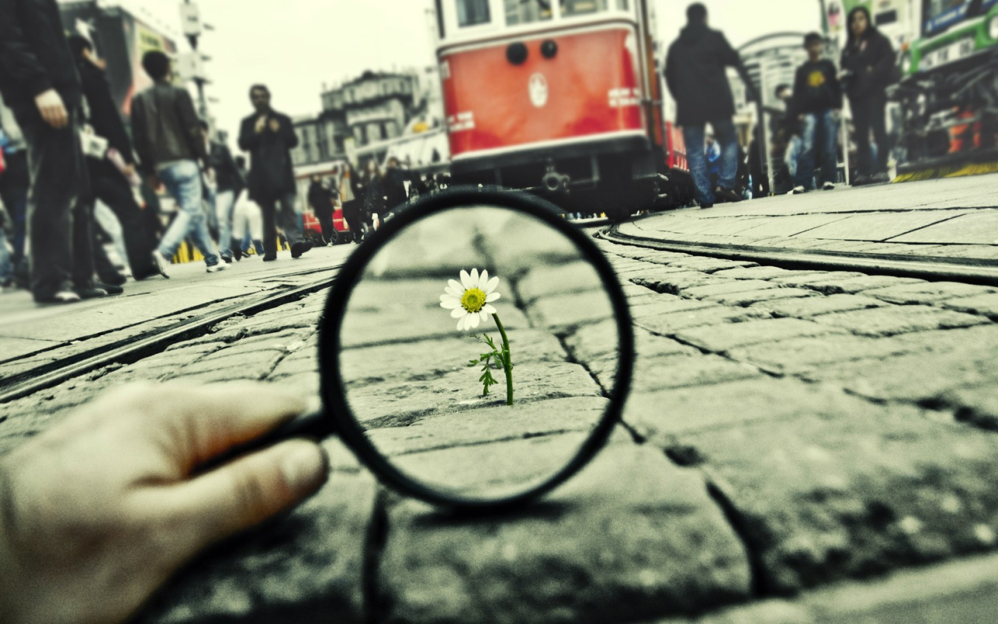 Воля к жизни, достойная уважения