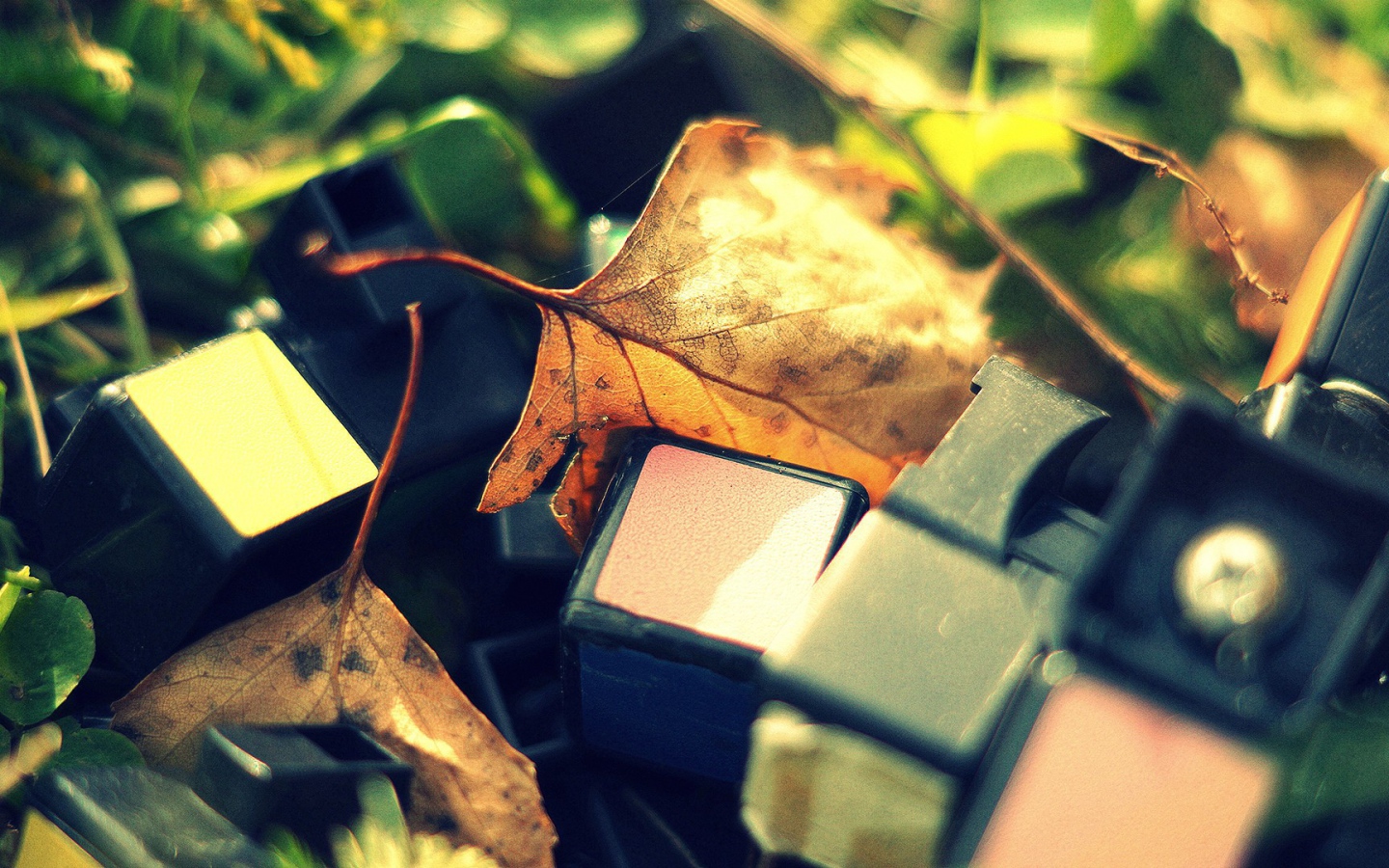 Обломки от кубика Рубика лежат среди листьев