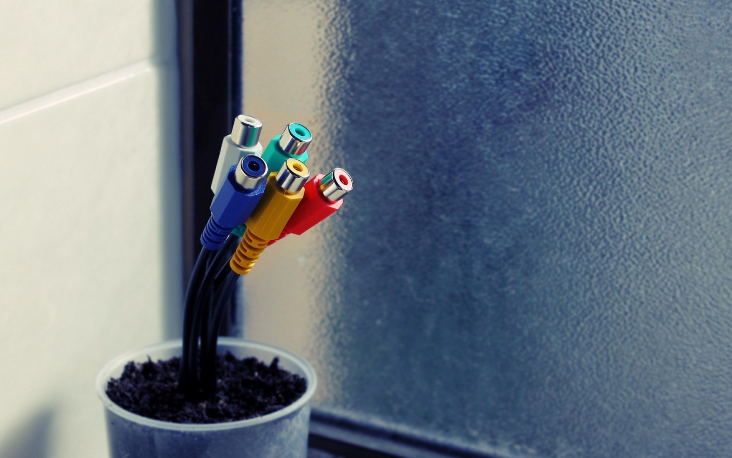 Тюльпаны в горшке